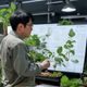 周博文，高校植物学讲师，在实验室内向学生讲解害羞草叶枕结构模型，背景为教学白板