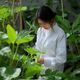 林绿研，植物学科普作者，身着白色实验服在温室内专注观察害羞草叶片，专业学术气质