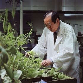 植物科学研究总监陈俊博士在实验室中专注查看植物标本的工作照，身着白色实验服，神情专注认真，展现出深厚的专业积累与严谨的科研态度